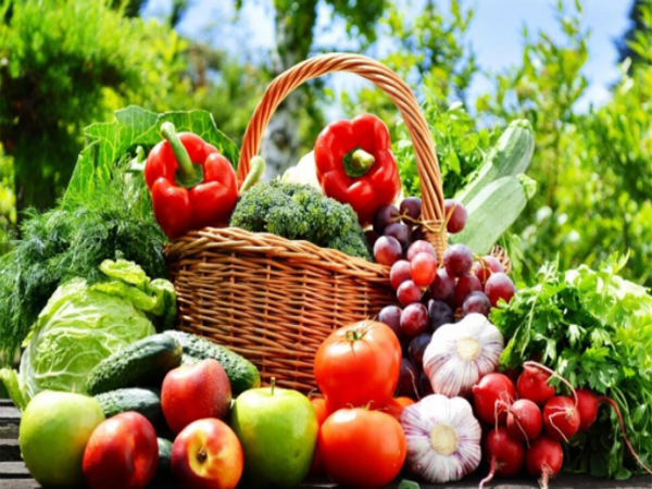 绿都膳食公司教您新鲜蔬菜的正确保存方法
