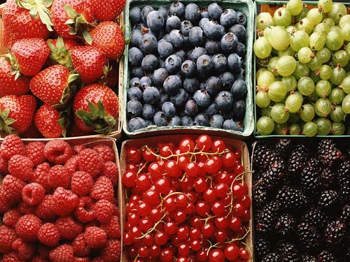 深圳膳食公司告诉你蓝莓的价值功效有哪些？