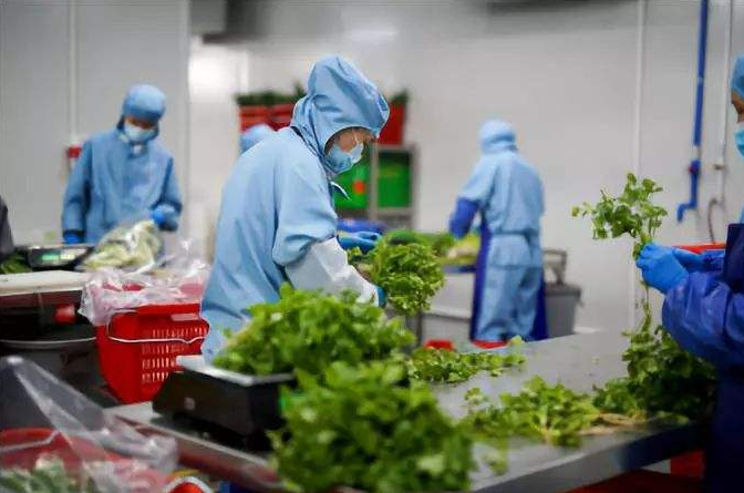 深圳工厂食堂承包的优势有哪些？